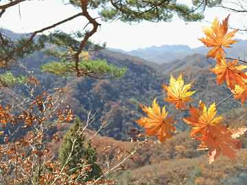 新易盛：涉嫌違反限制性規(guī)定轉(zhuǎn)讓股票和信息披露違法 實(shí)控人遭沒(méi)收違法所得950萬(wàn)元并被處以2200萬(wàn)元罰款